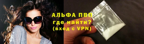 хмурый Алзамай