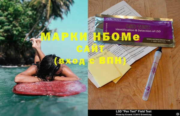 хмурый Алзамай