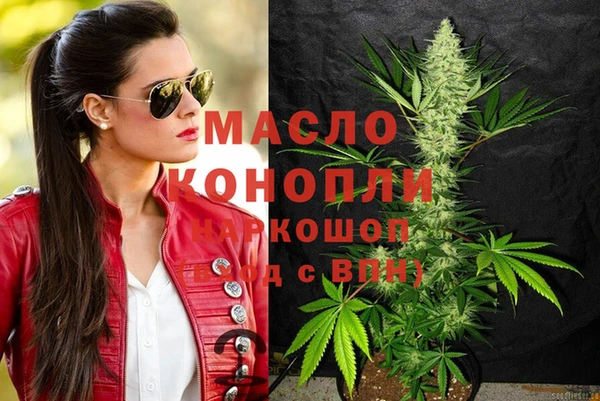 хмурый Алзамай