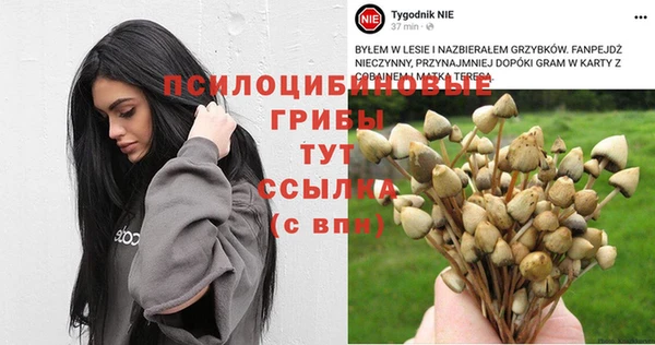 хмурый Алзамай